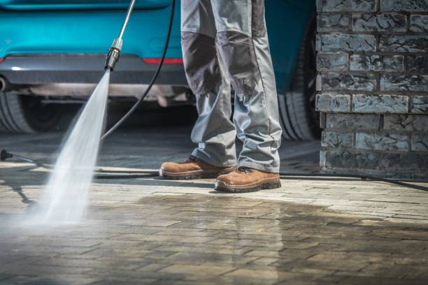 Best Roof Washing  in Robins, IA
