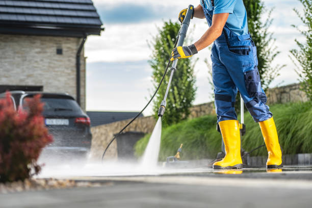 Best Building Exterior Washing  in Robins, IA